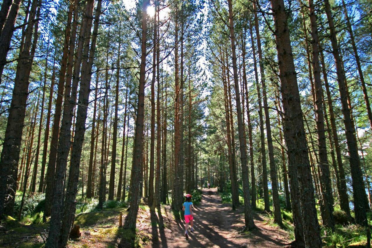 Tigh Na Lochan Авимор Екстериор снимка